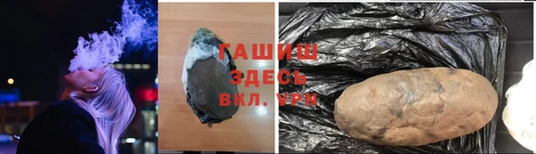 стаф Магас
