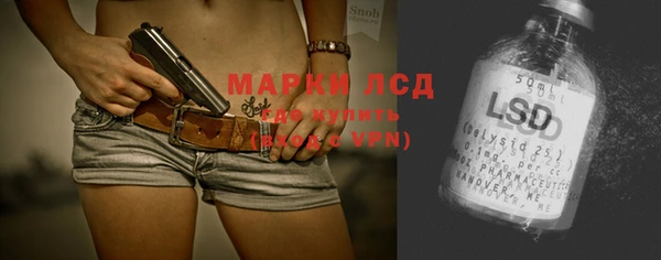 стаф Магас