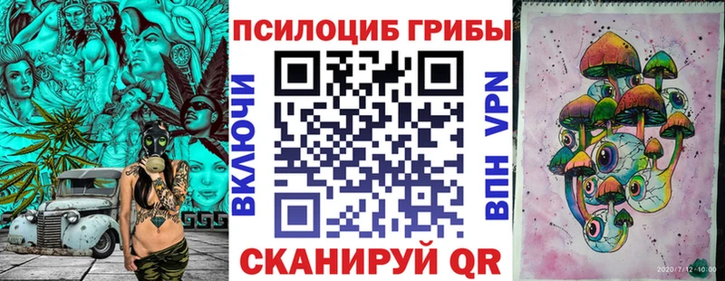 ОМГ ОМГ tor  Чухлома  Галлюциногенные грибы Psilocybine cubensis  что такое наркотик 